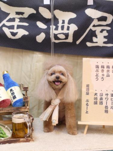 20240618麦ちゃん